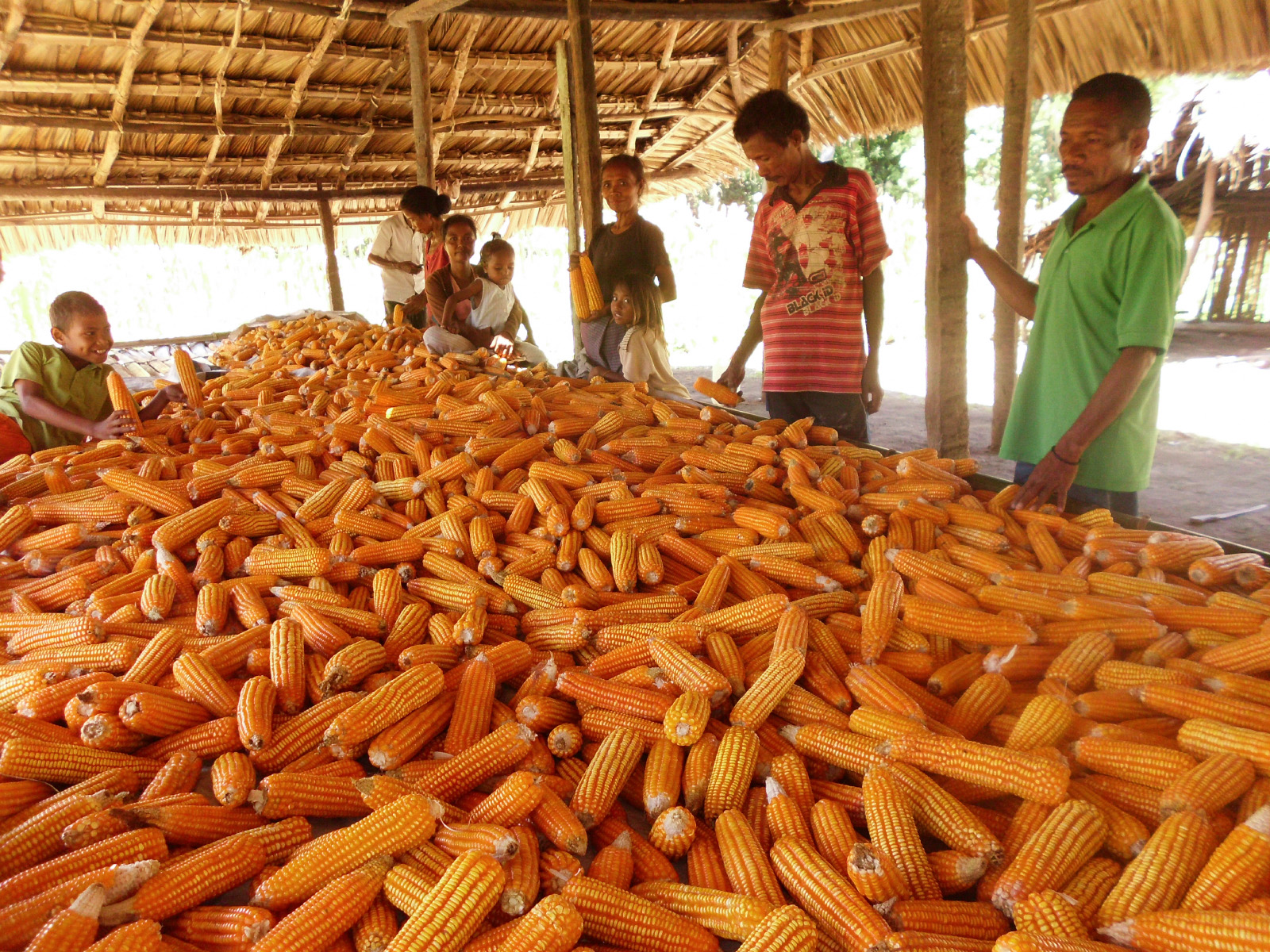 Small shops selling surplus crops are lifting people out of poverty.